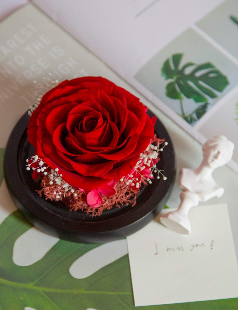 DuHouse Forever Roses Preserved Real Flowers Eternal Enchanted Rose Flower Box for Valentines Gifts Birthday Anniversary Christmas (Red) - Image 3